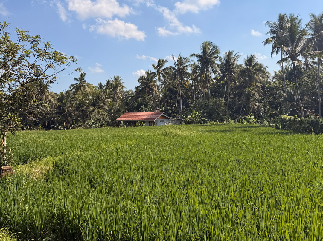 Bali Ultimate Adventure-库塔必去景点