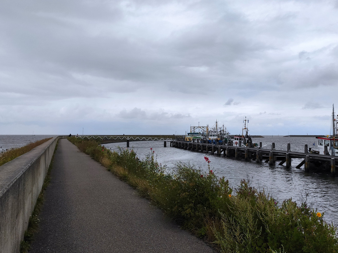 Port of Harlingen-哈灵根必去景点