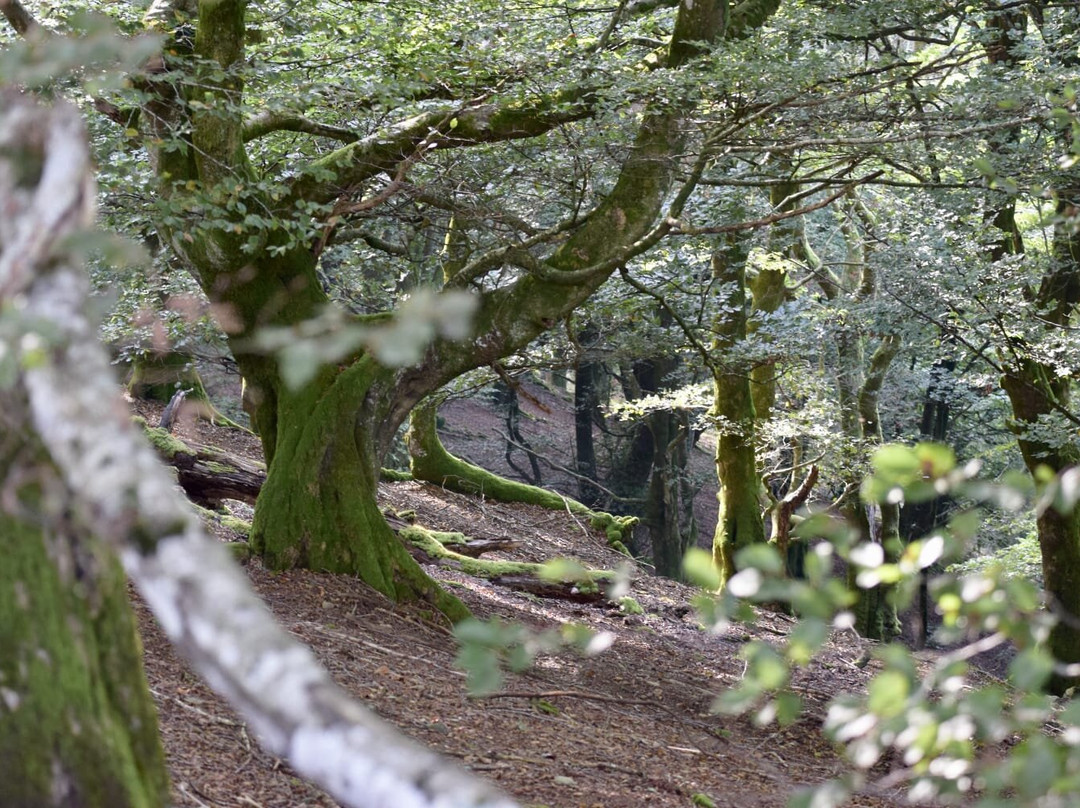 Nature Landes Pays Basque-Ondres必去景点