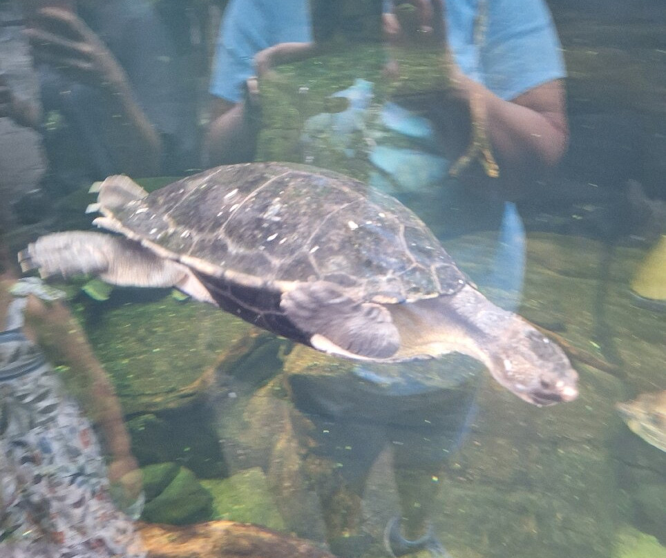 巴尔的摩国家水族馆-巴尔的摩必去景点