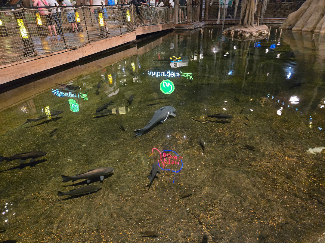 Bass Pro Shops at the Pyramid-孟菲斯必去景点