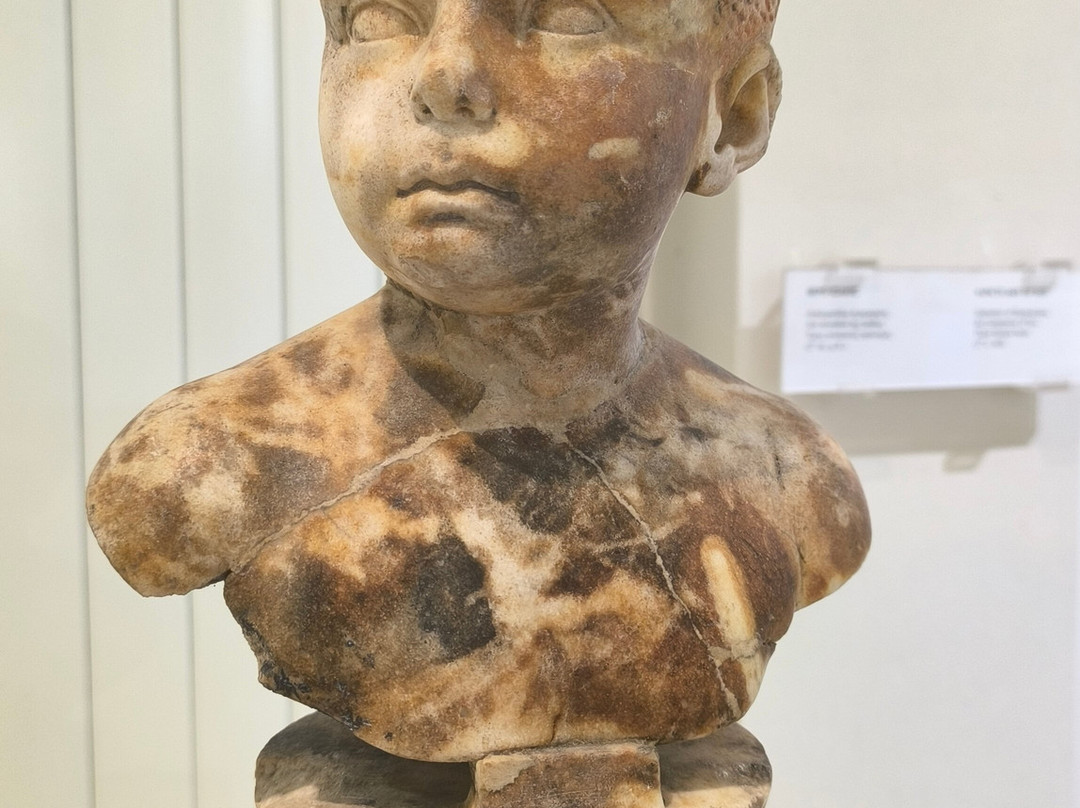 Archaeological Museum of Dion-Dion必去景点