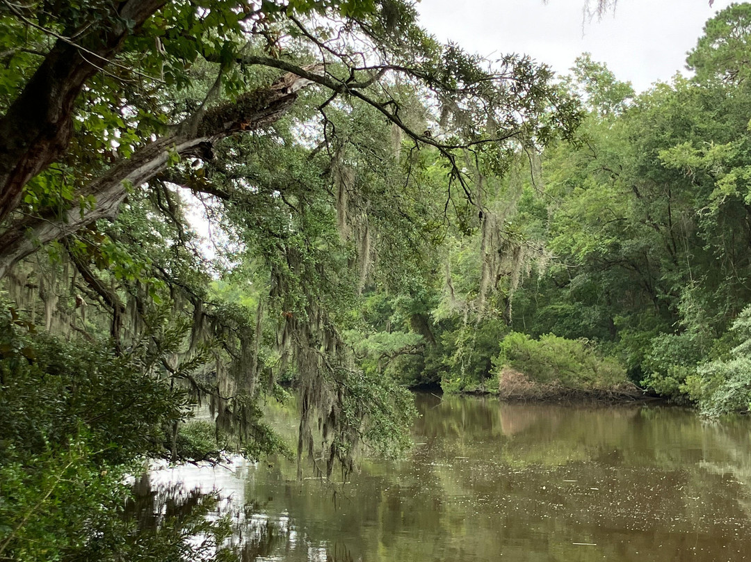 Colonial Dorchester State Historic Site-Summerville必去景点