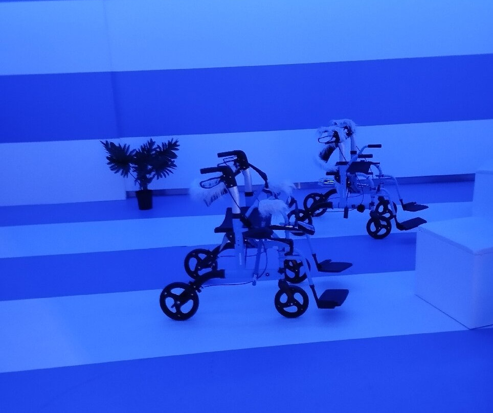 MO Museum-维尔纽斯必去景点