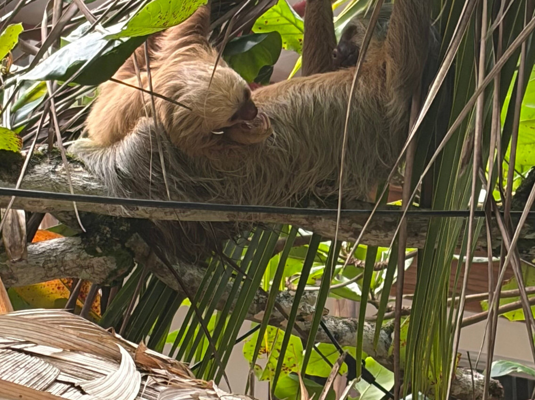 Cahuita Tours-卡维塔必去景点