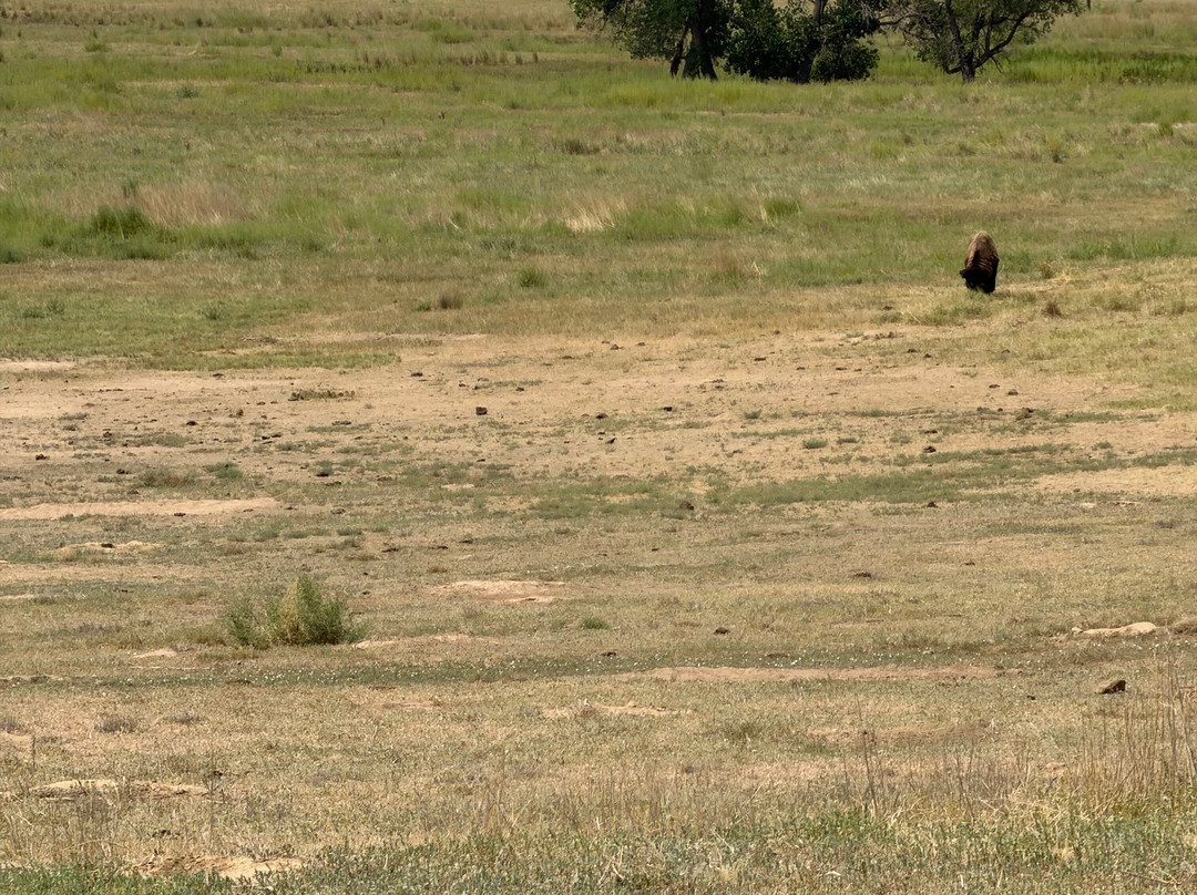 Rocky Mountain Arsenal National Wildlife Refuge-Commerce City必去景点