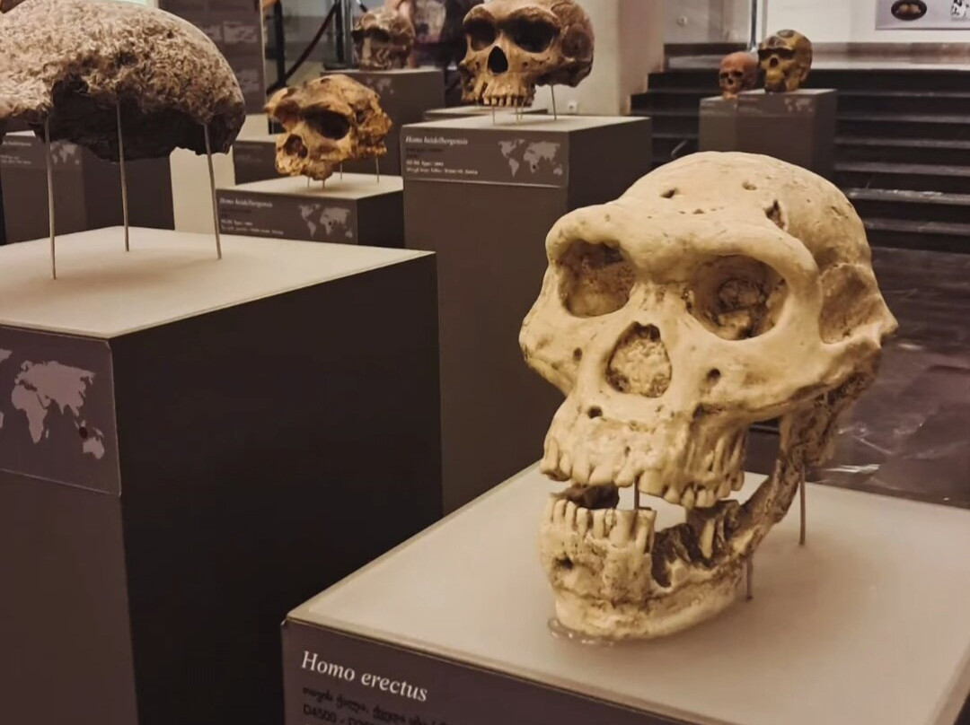 Georgian National Museum-第比利斯必去景点