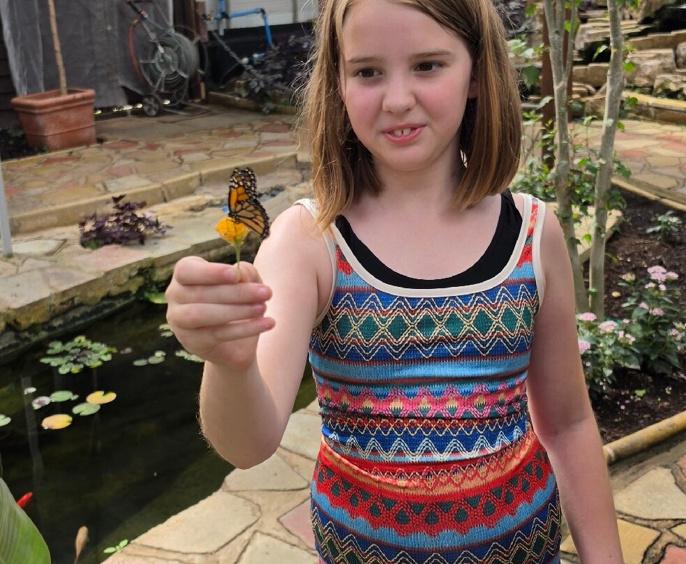 Butterfly World and Fountain World-Wootton必去景点