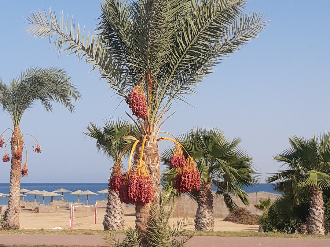 Planet Spa at Lahami Bay-马萨阿拉姆必去景点
