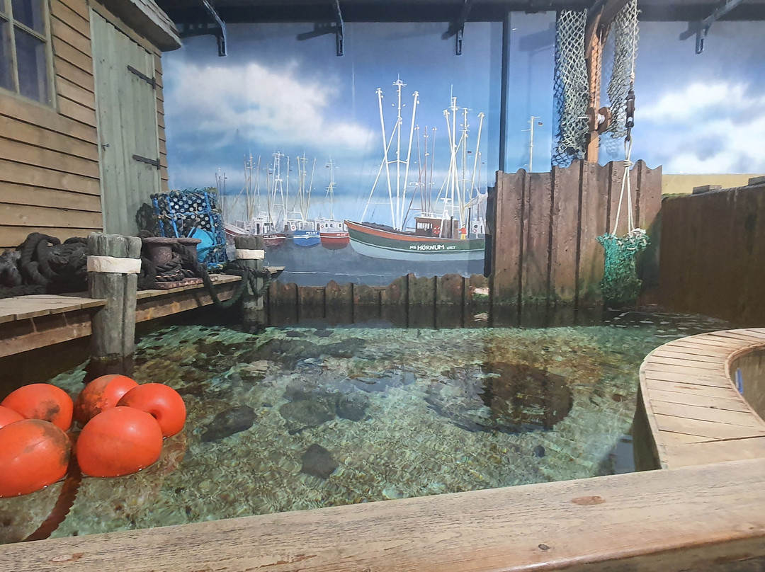 Sylt Aquarium-叙尔特必去景点
