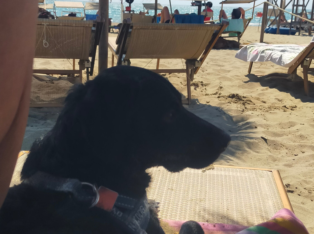 Fuorirotta Beach Club-Marina di Grosseto必去景点