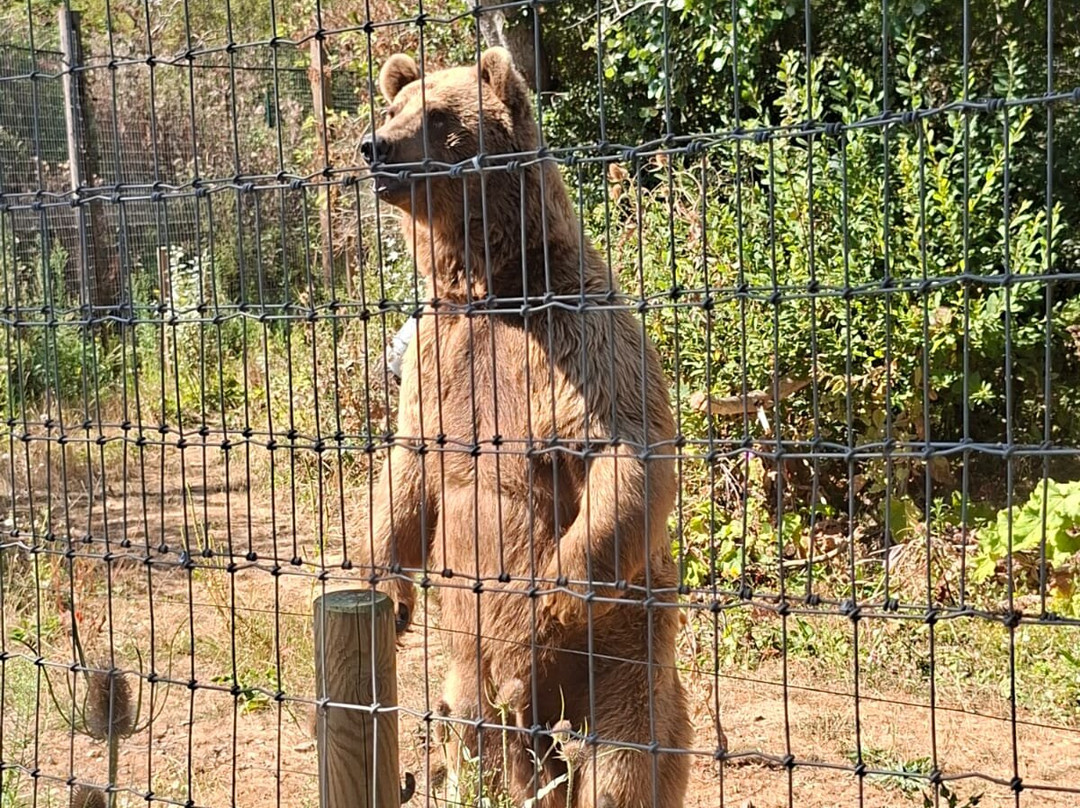 Amazon World Zoo Park-桑当必去景点