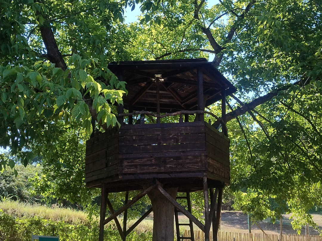 Piscina Selva Grande-Sant'Oreste必去景点
