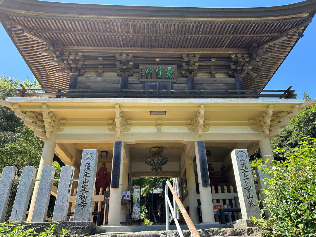 Teifukutera Temple-大豊町必去景点