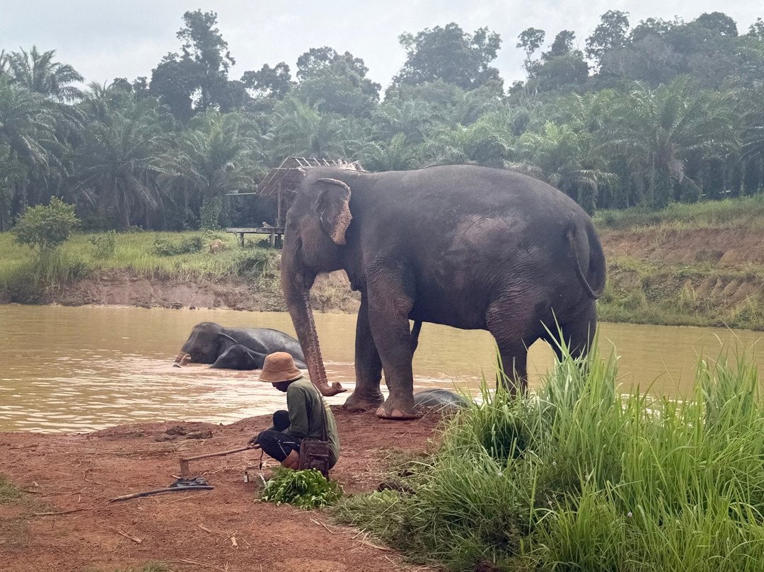Following Giants - Krabi-Khlong Hin必去景点