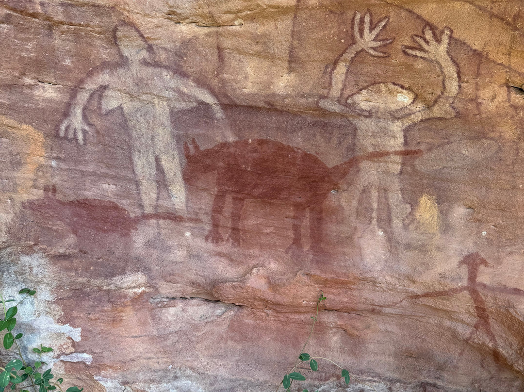 Jarramali Rock Art Tours-凯恩斯必去景点