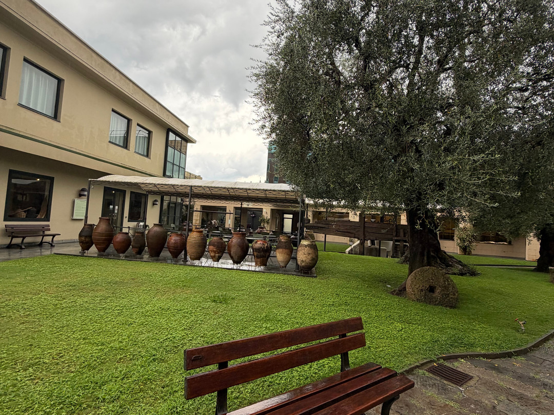 Museo dell'Olivo-因佩里亚必去景点