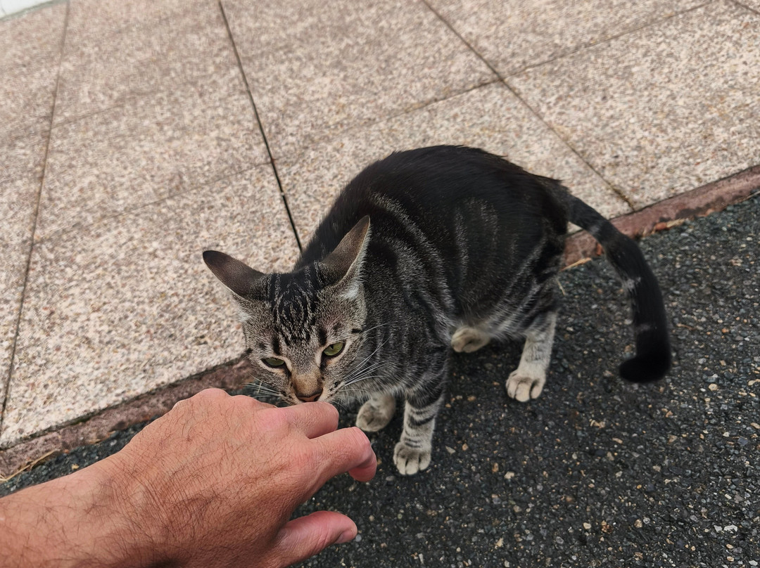比利牛斯大西洋酒店主图