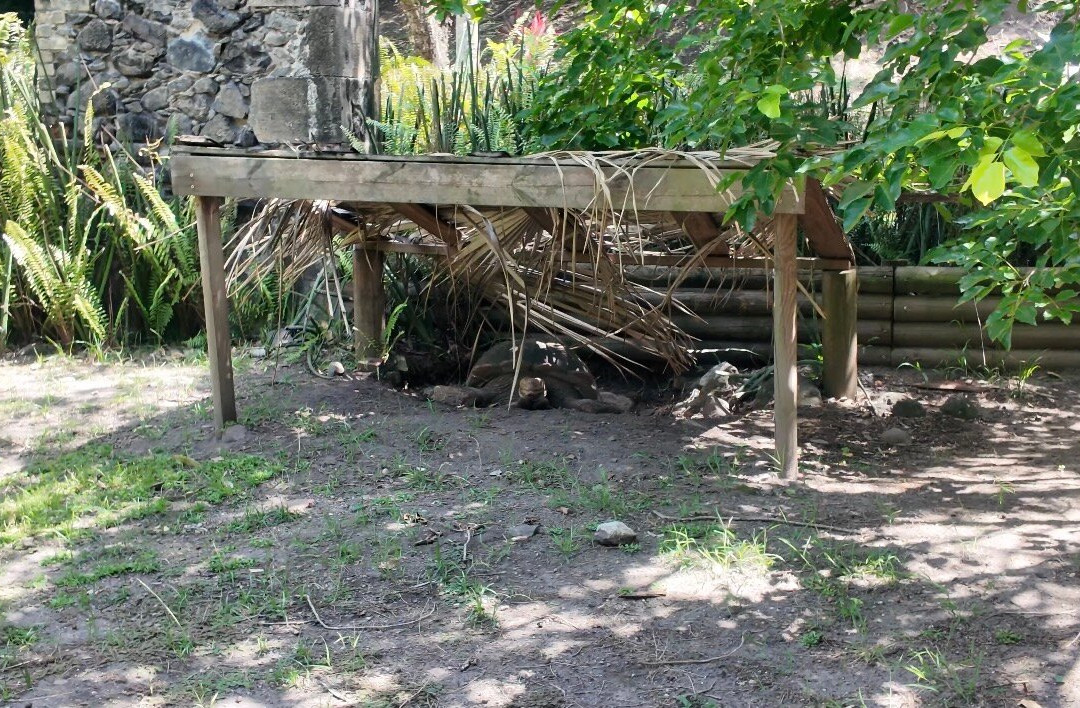 Zoo de Martinique-Le Carbet必去景点