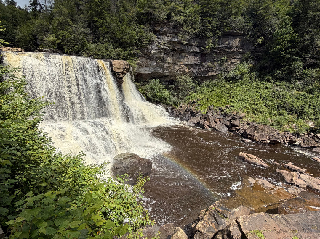 Blackwater Falls State Park-戴维斯必去景点