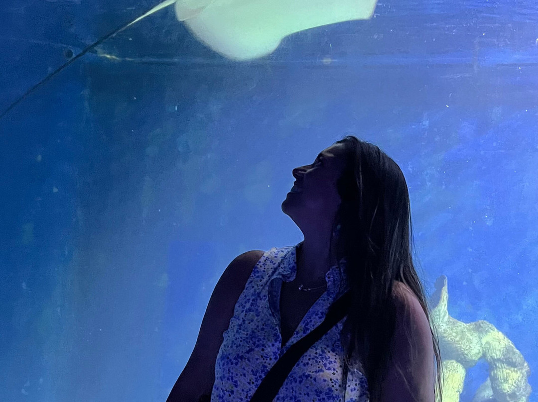 Hurghada Grand Aquarium-赫尔格达必去景点