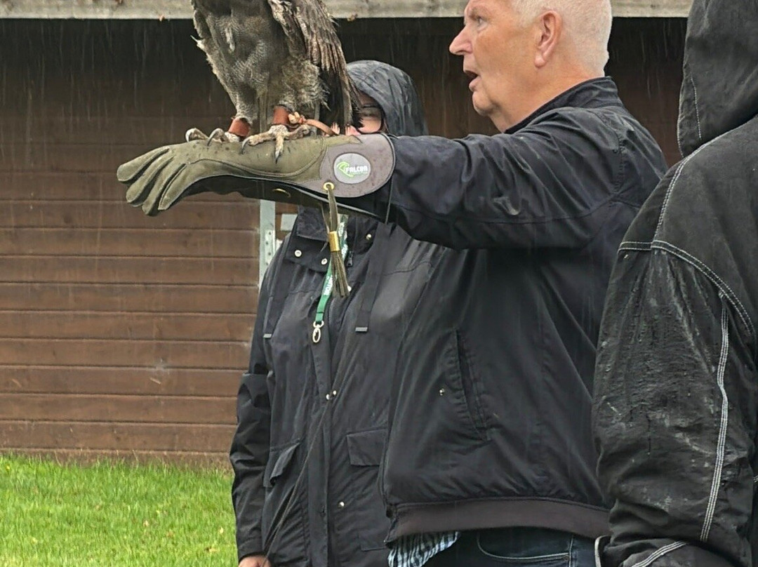 Cheshire Falconry-Northwich必去景点