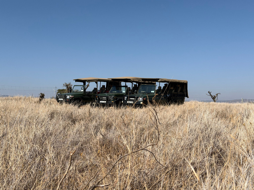 Lewa Wildlife Conservancy-Isiolo必去景点