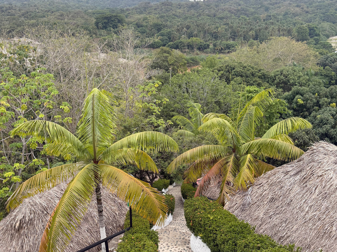 Quetzal Dorado Ecolodge主图