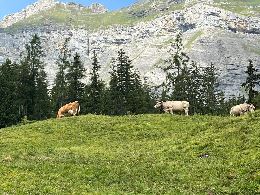 Oeschinen Lake-坎德斯泰格必去景点