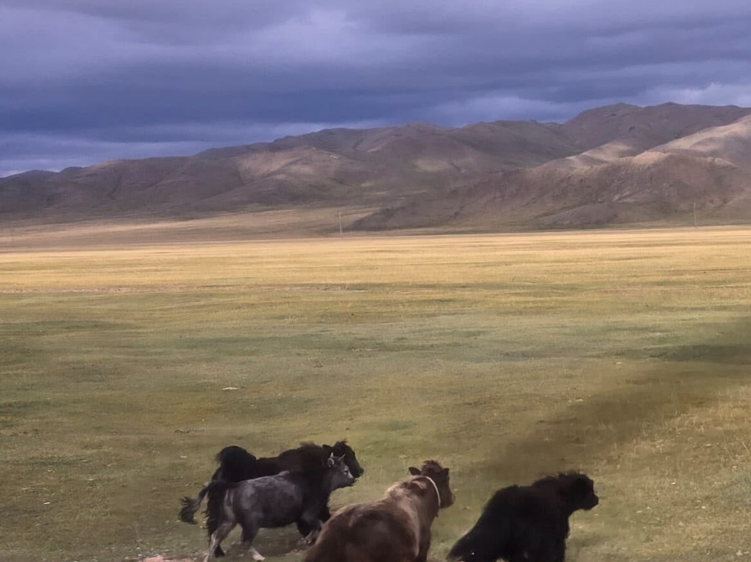 Altai Expeditions-Olgiy必去景点
