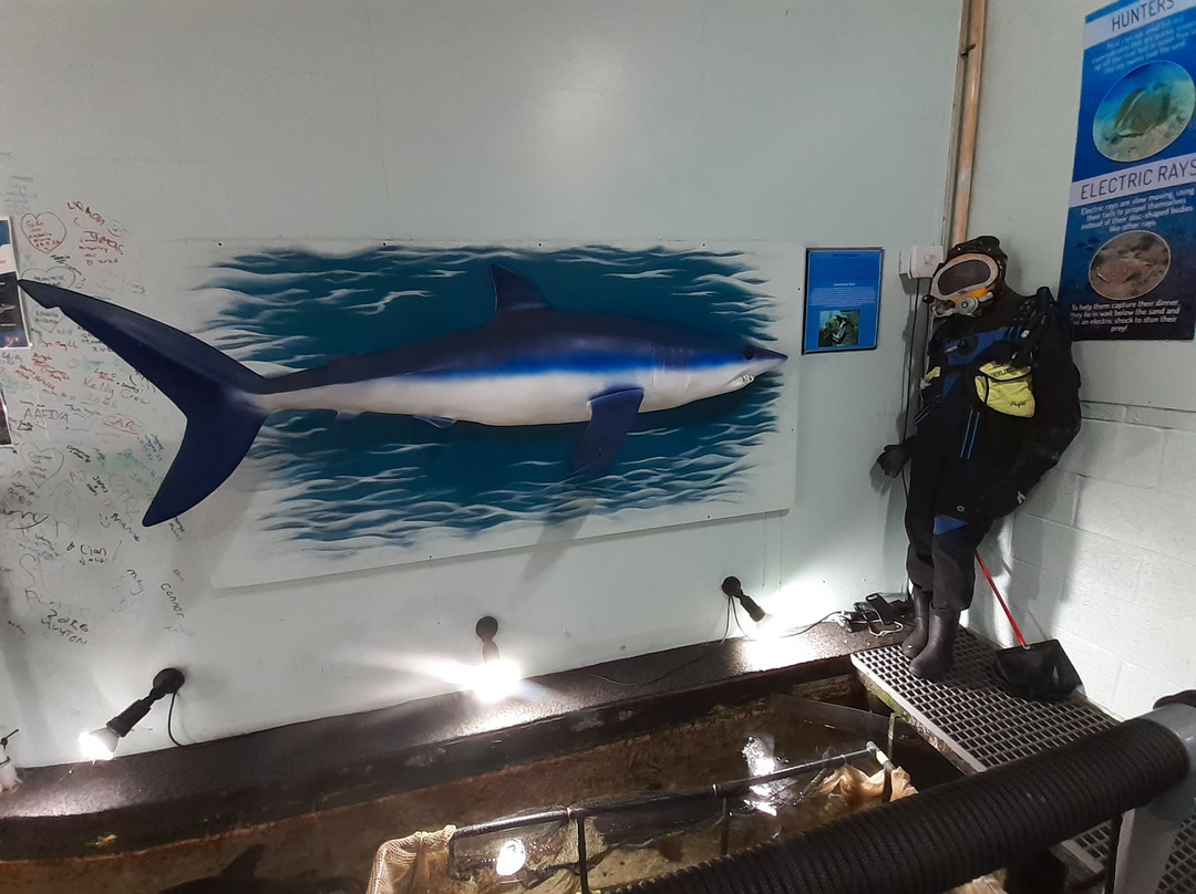 Anglesey Sea Zoo Sw Mor Mon-Brynsiencyn必去景点