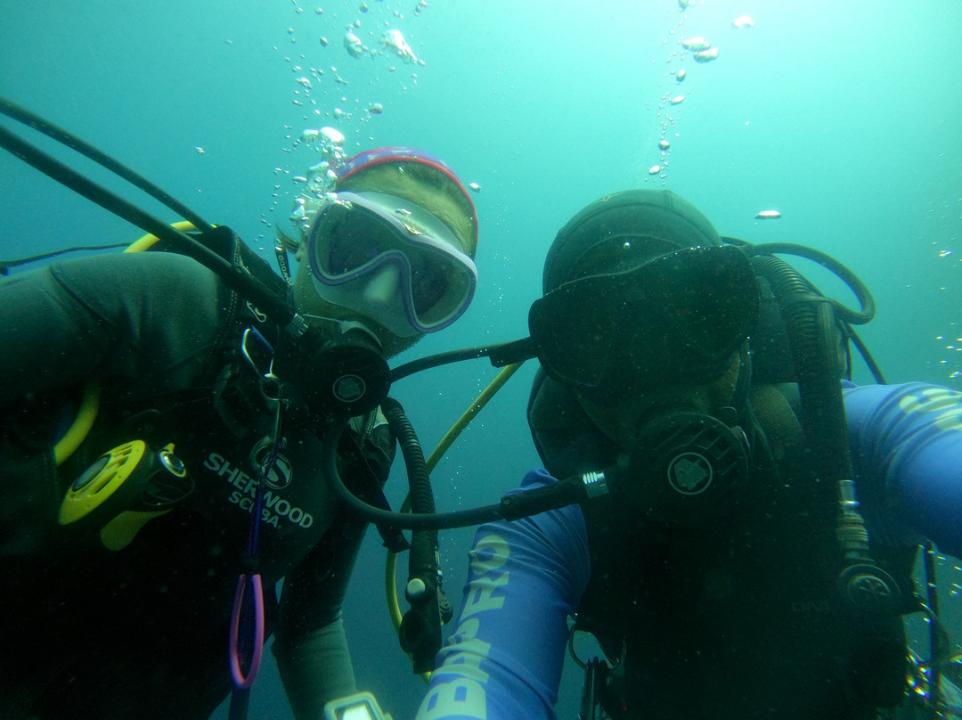 Haka Dive Center-Panglao必去景点