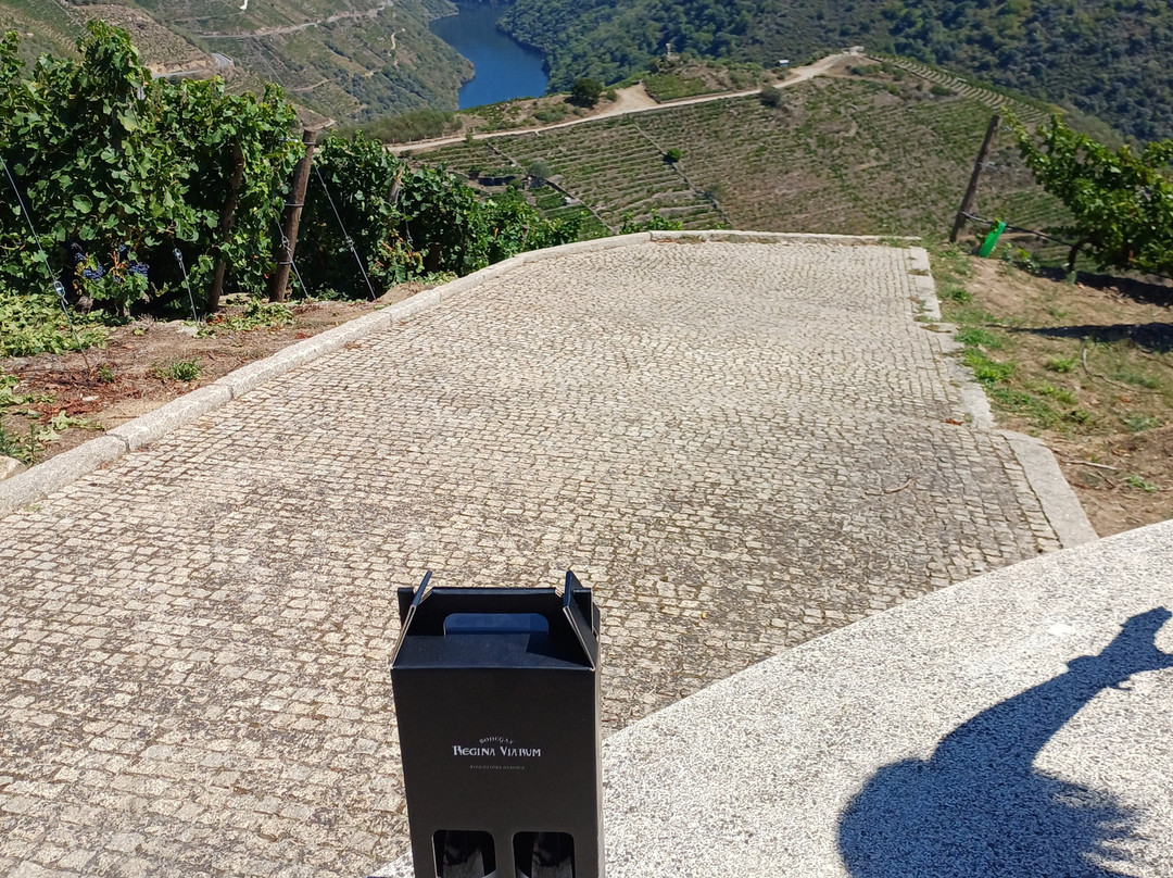 Bodegas Regina Viarum-Sober必去景点