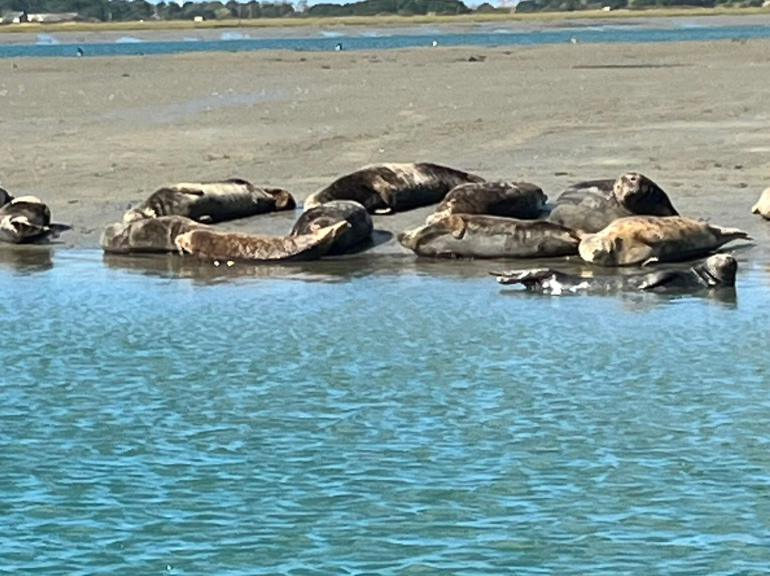 Chichester Harbour Water Tours-West Itchenor必去景点