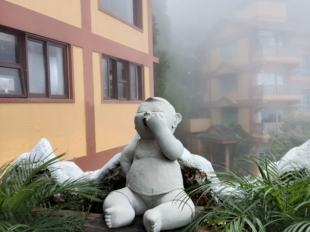 Hotel Country Villa主图