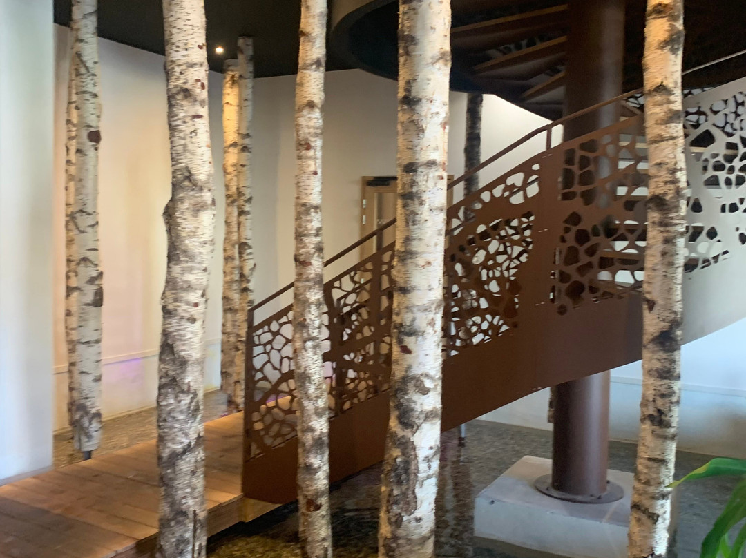 Best Western Plus le Roi Arthur Hotel et Spa主图