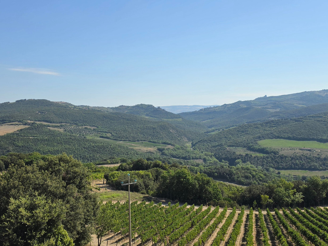 Mastrojanni Winery-Castelnuovo dell'Abate必去景点
