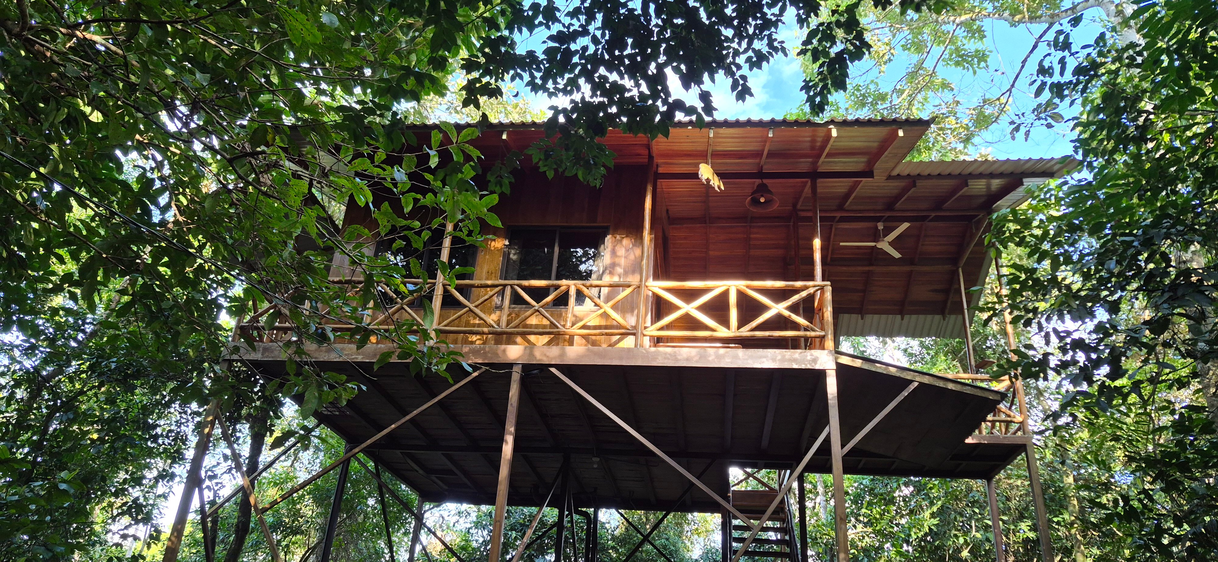 哥斯达黎加树屋酒店-旅行者