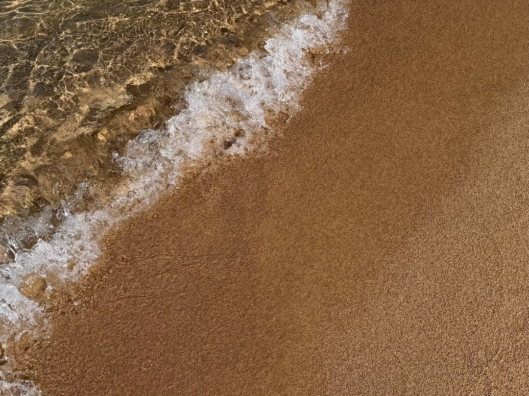 Spiaggia dell'Isola dei Gabbiani (Isuledda)-帕劳必去景点