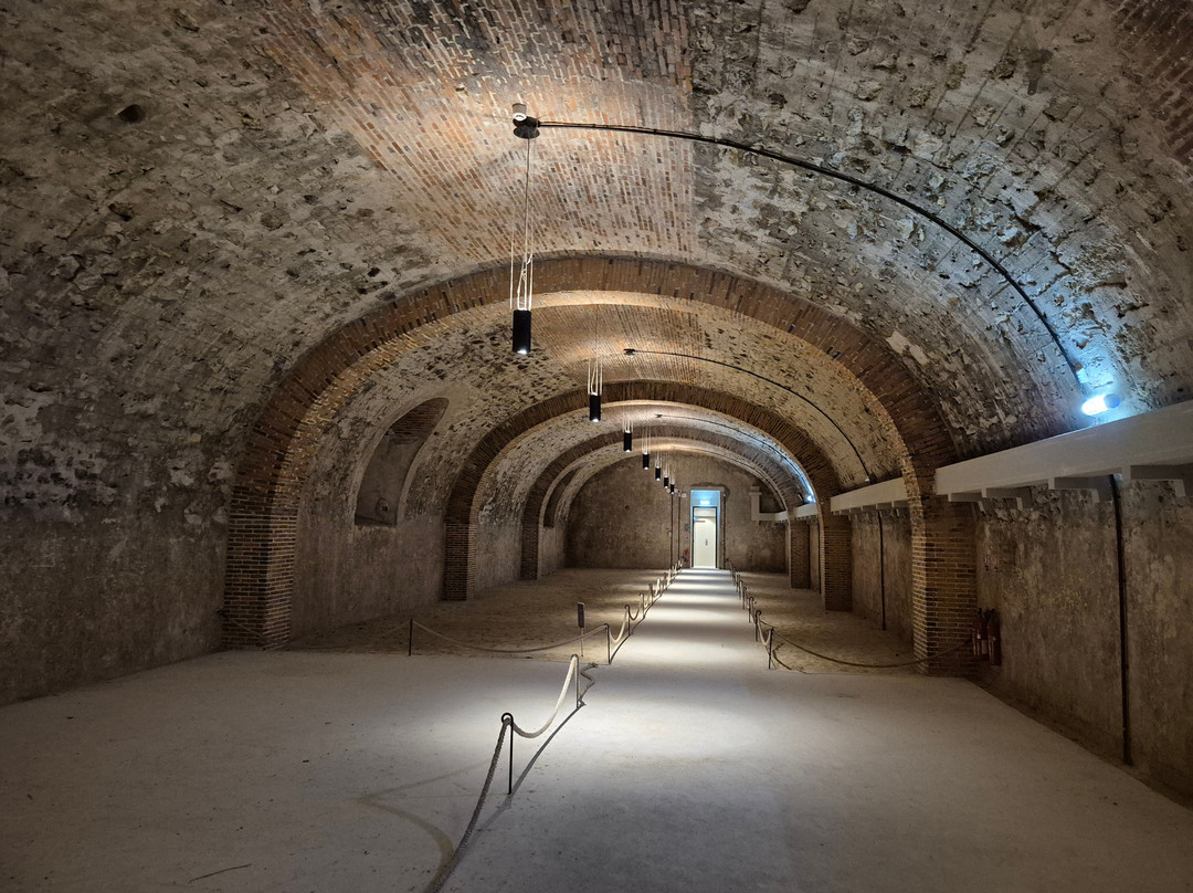 Musée du vin de Champagne et d'Archéologie régionale-埃佩尔内必去景点