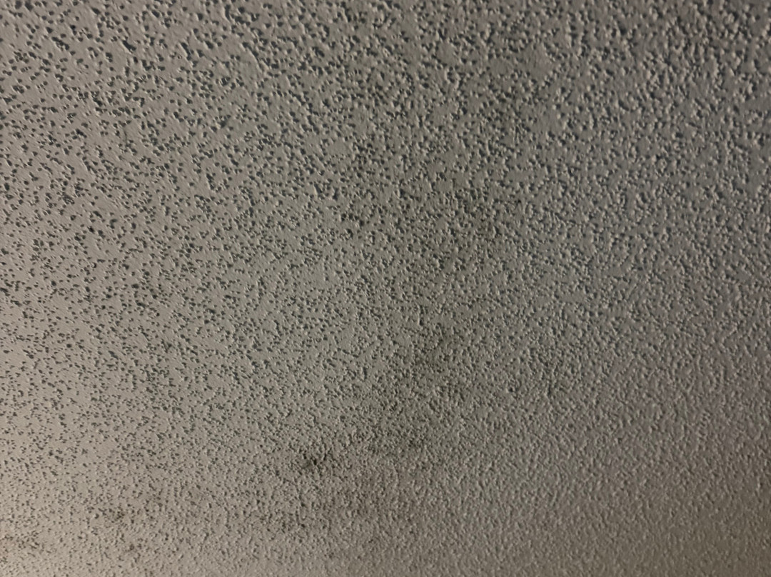 沙洛特温德姆戴斯酒店主图