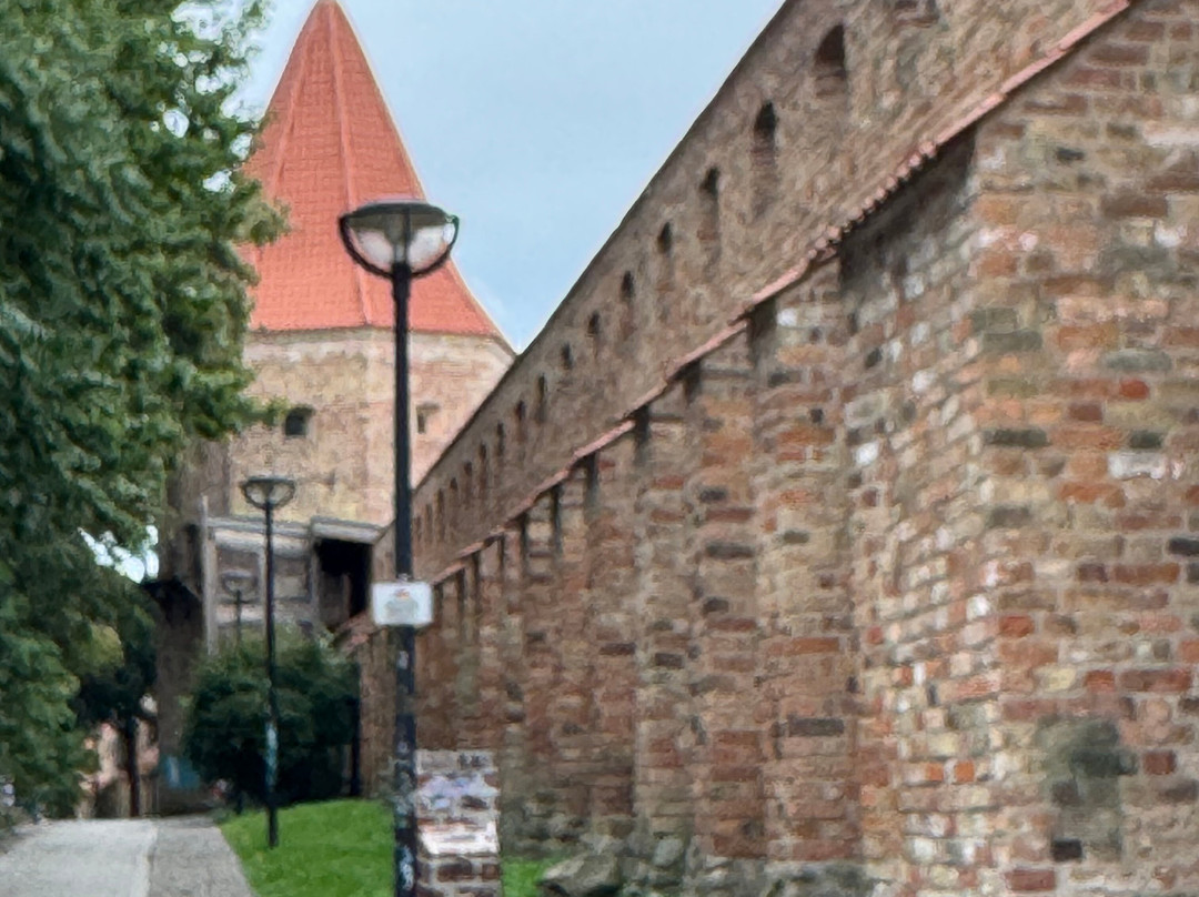 Rostock City Wall-罗斯托克必去景点