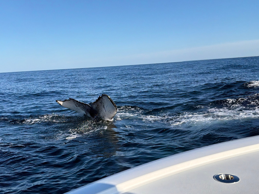 Monomoy Sportfishing-查塔姆必去景点
