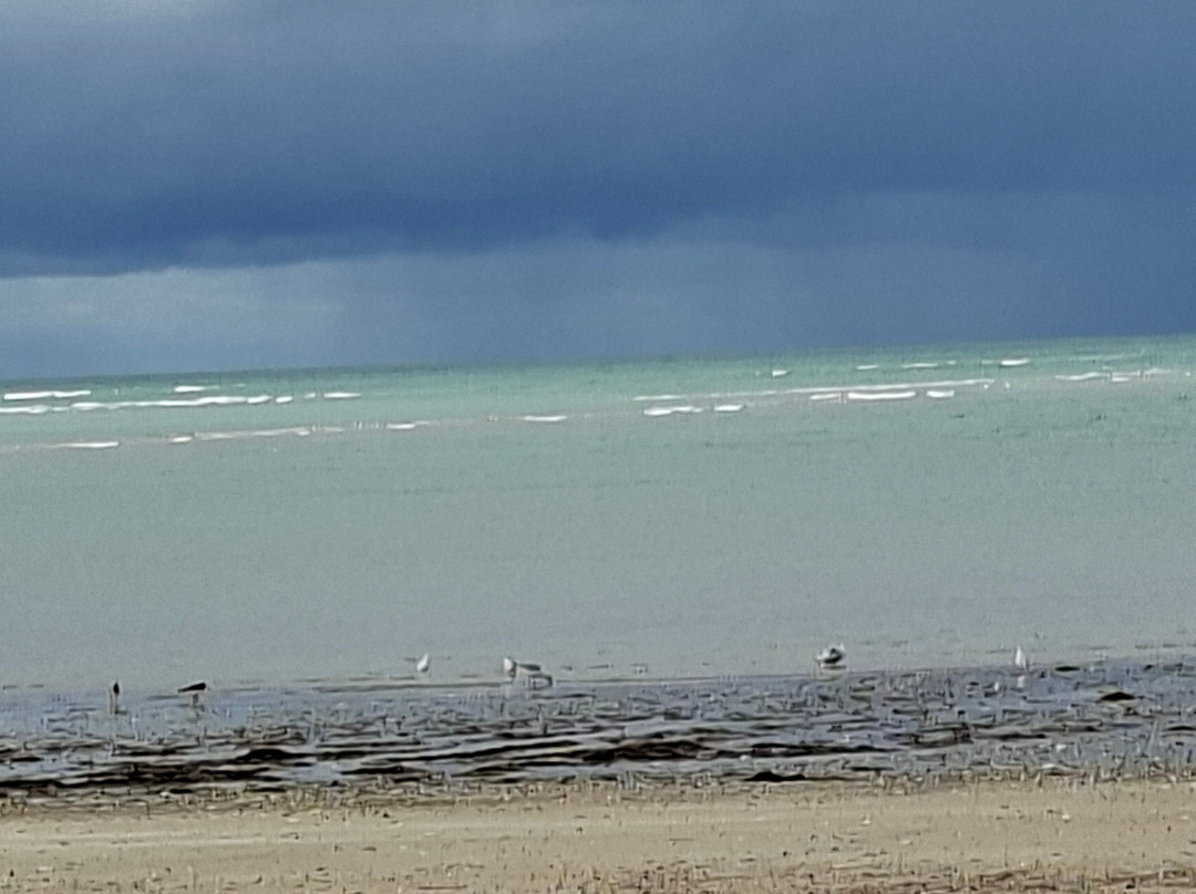 Pointe D'Agon-Agon-Coutainville必去景点