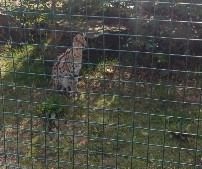 Ponderosa Zoo-Heckmondwike必去景点