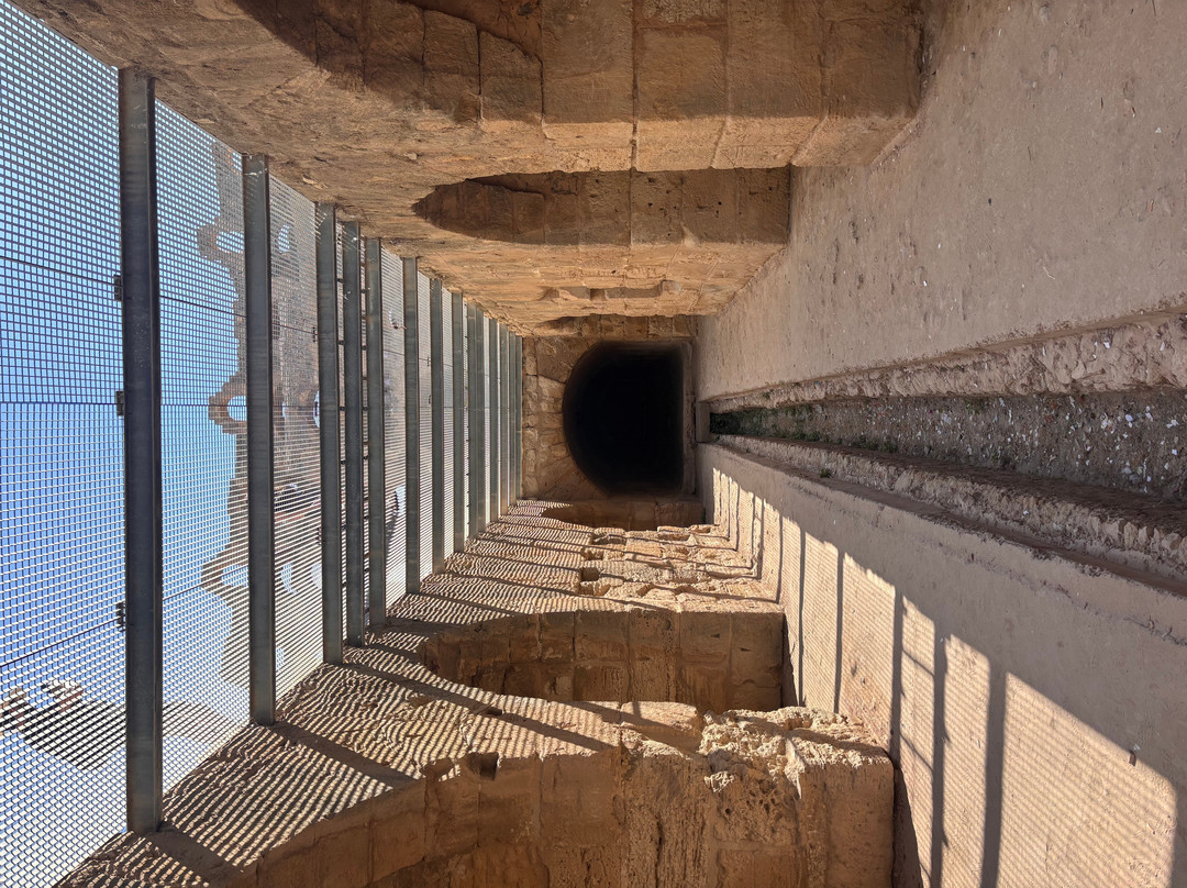 Amphithéâtre D'el Jem-艾尔杰姆必去景点