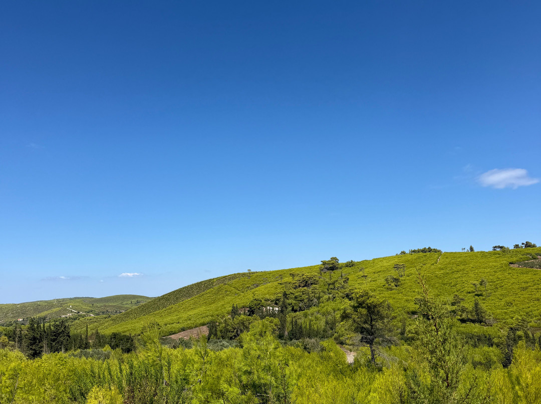 Cycling Center Zakynthos Podilatadiko-扎金索斯镇必去景点