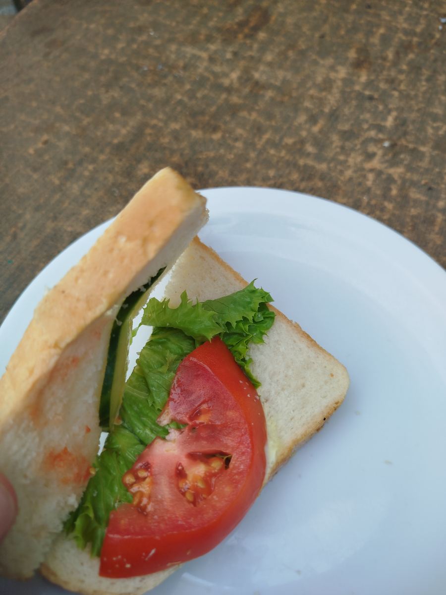 迪奥格尼斯蓝色宫殿公寓式酒店-旅行者