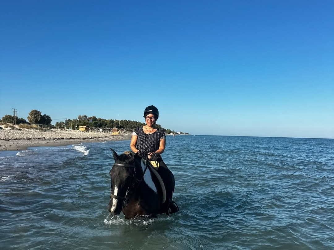 Erika's Horse Farm Kos-Marmari必去景点