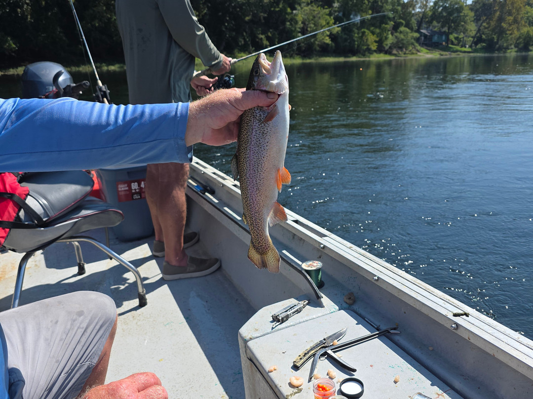 Cotter Trout Dock Guided Trout Fishing Tours-Cotter必去景点